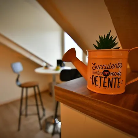 Les Berges Du Cher Apartment *
